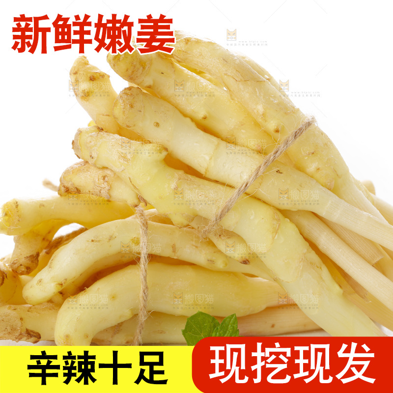 白底上的一堆新鲜生姜