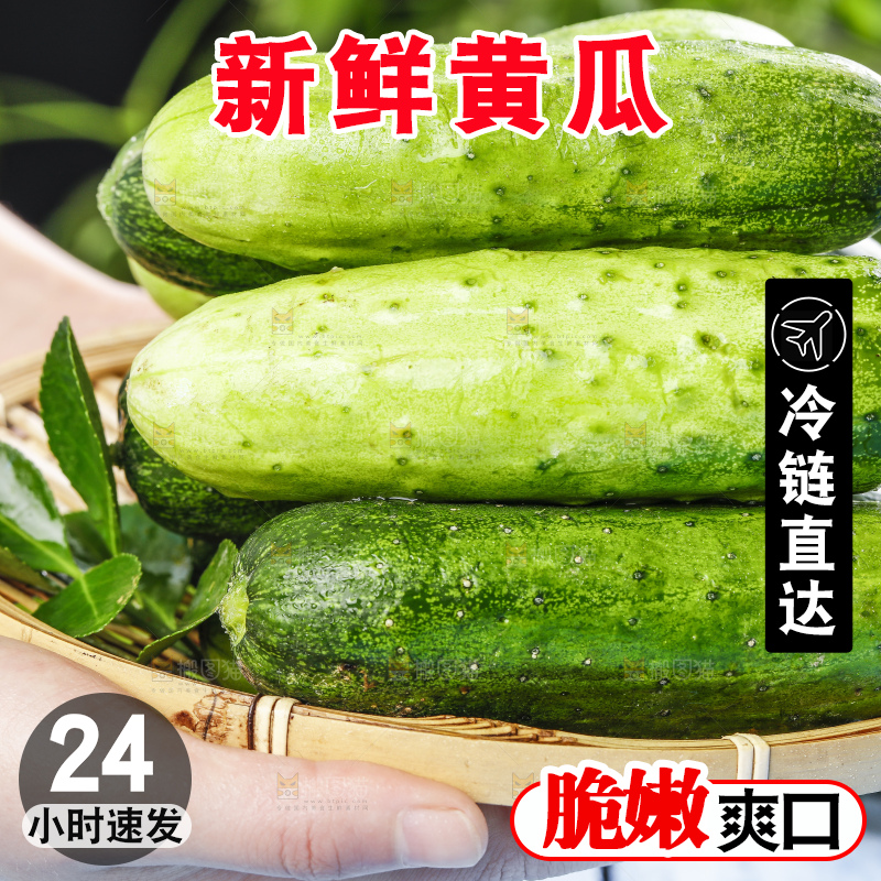 篮子里装着青瓜