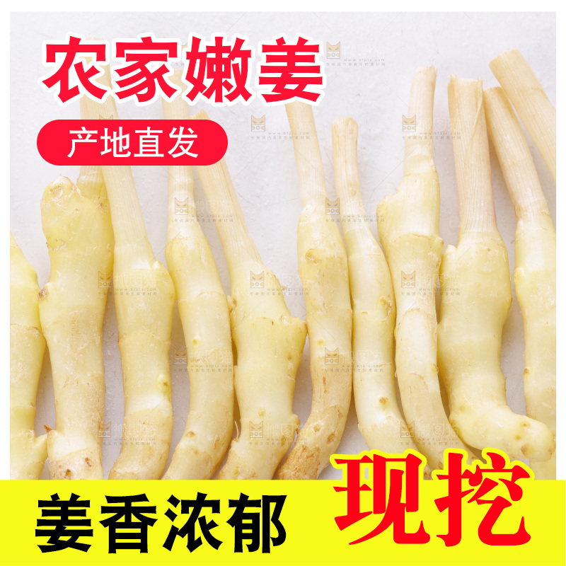 白底上的一堆新鲜生姜