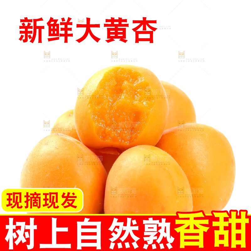 白底上摆放着杏子