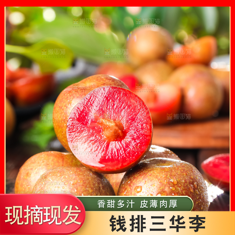 黑底上放着红心三华李