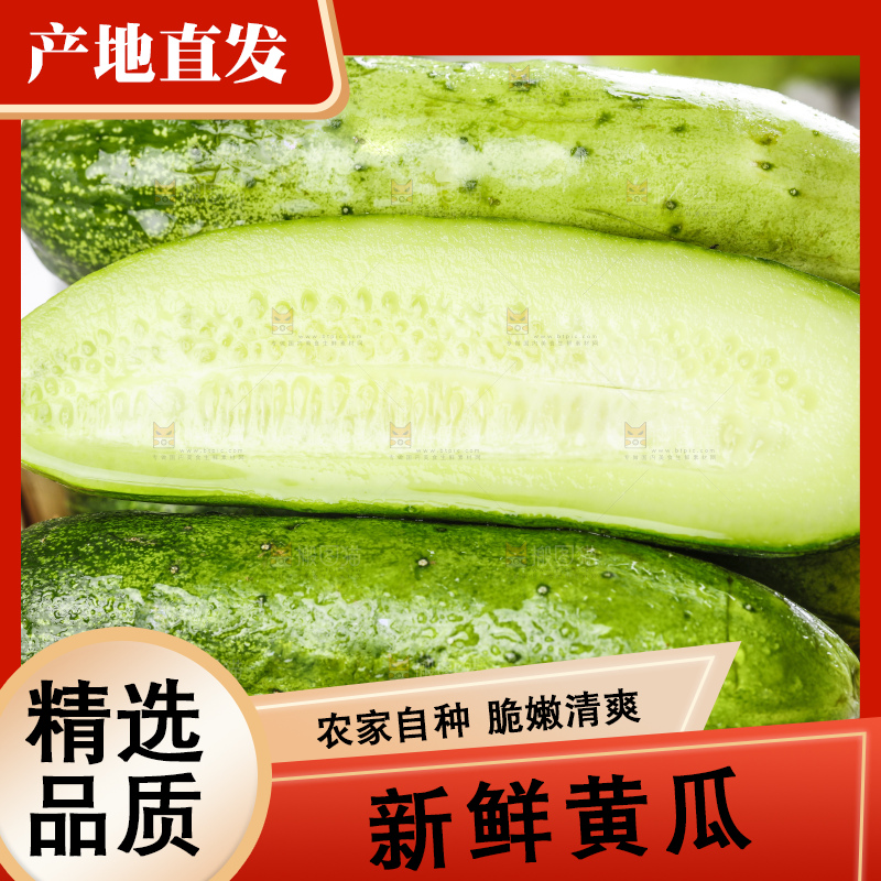 篮子里装着新鲜黄瓜