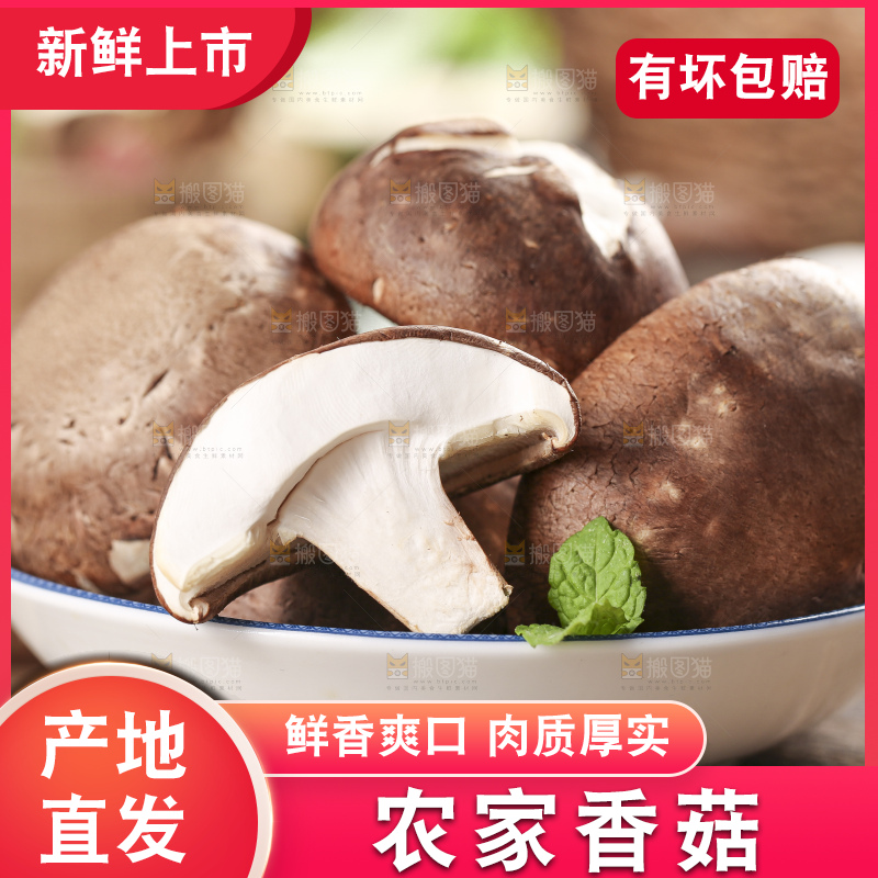 碟子里装着新鲜香菇
