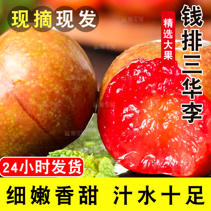 黑底上放着红心三华李