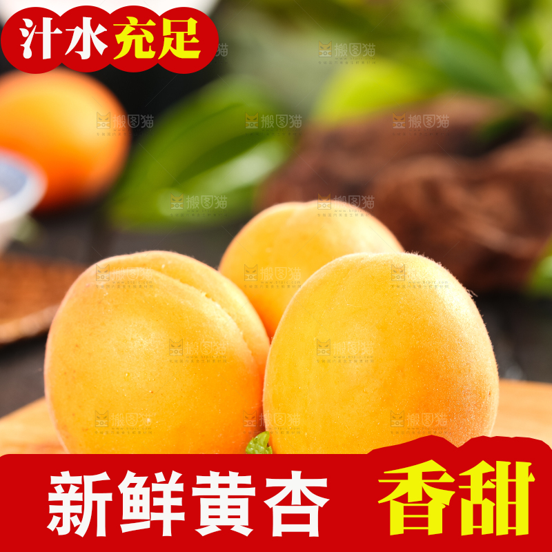 木底上摆放着秦岭头茬大黄杏