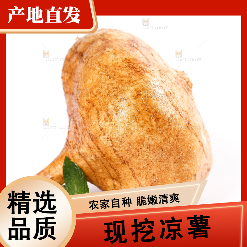 白底上放着凉薯