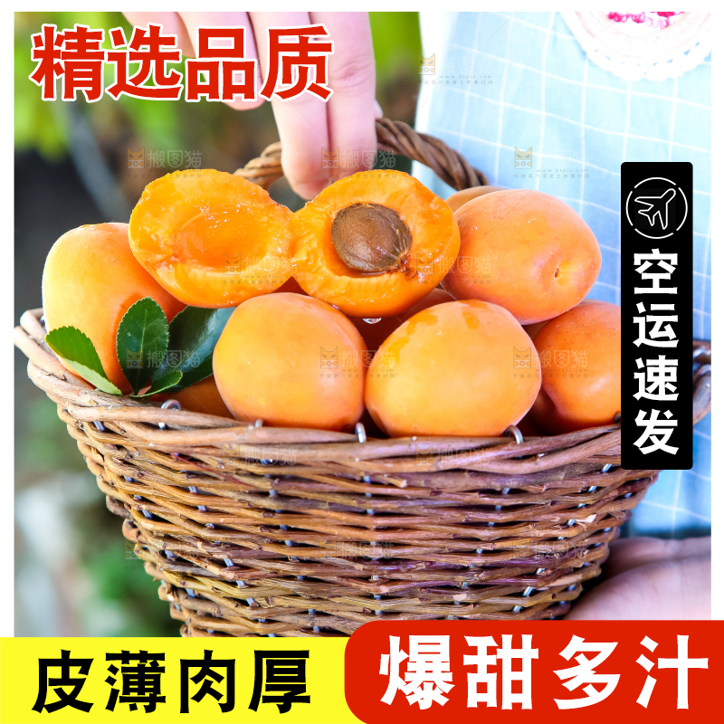 手里提着一篮烟台杏子