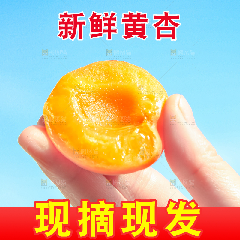 手里拿着杏子