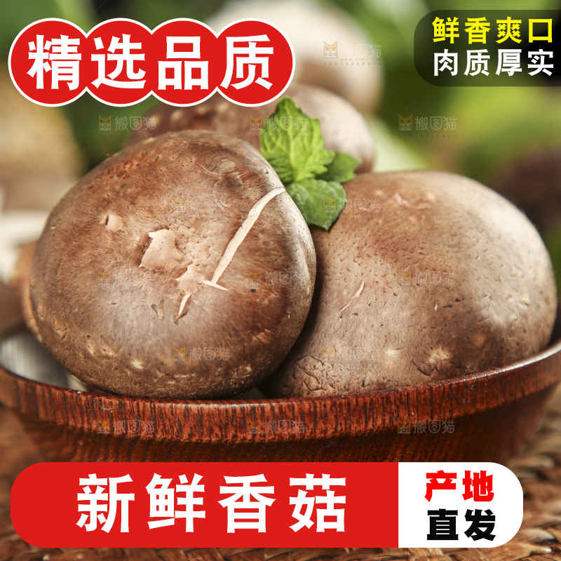 碟子里放着新鲜香菇