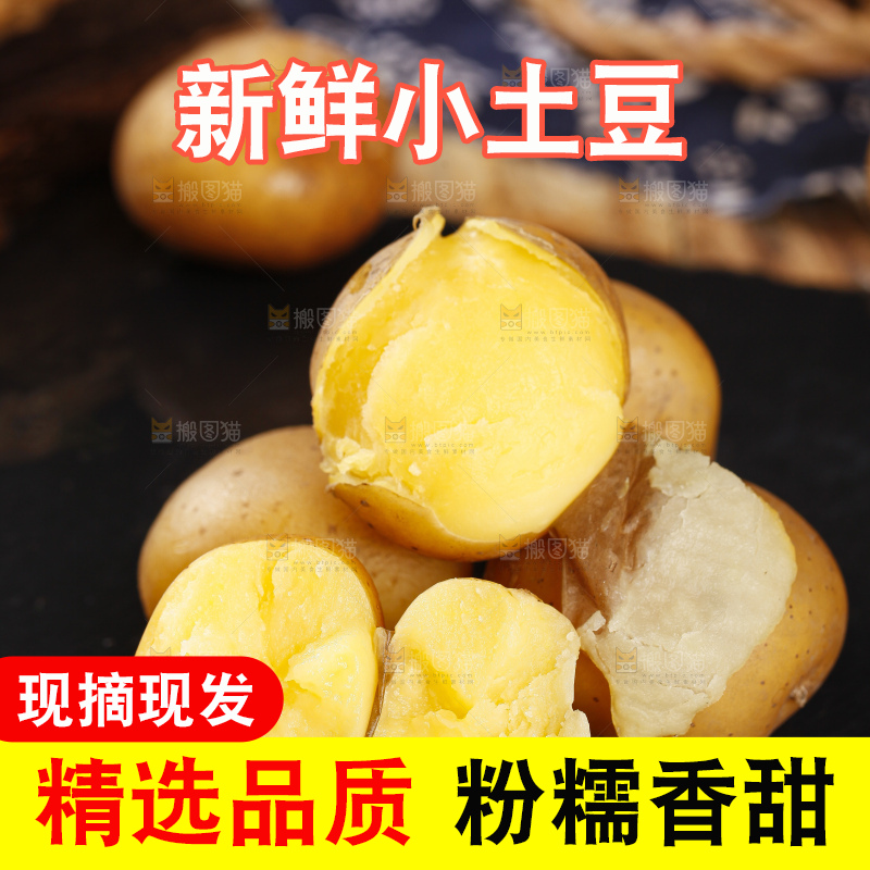 黑石板上摆放着黄心小土豆