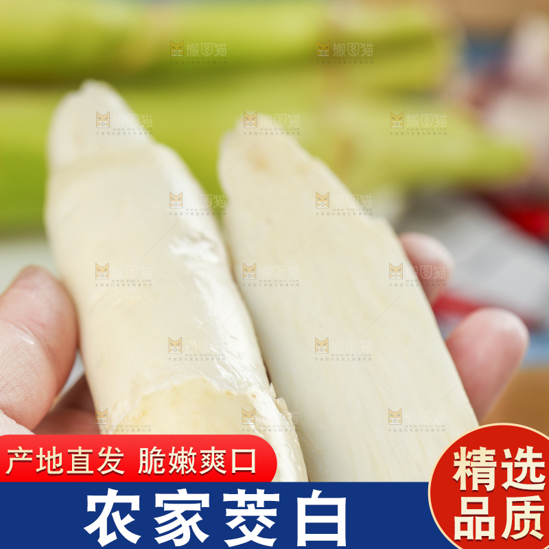 手里拿着茭白