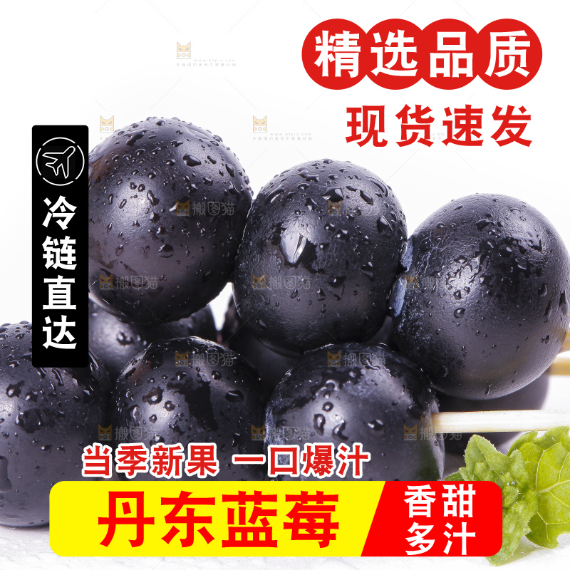 白底上摆放着高山蓝莓