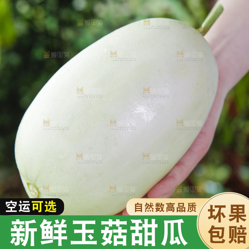手里拿着玉菇香瓜