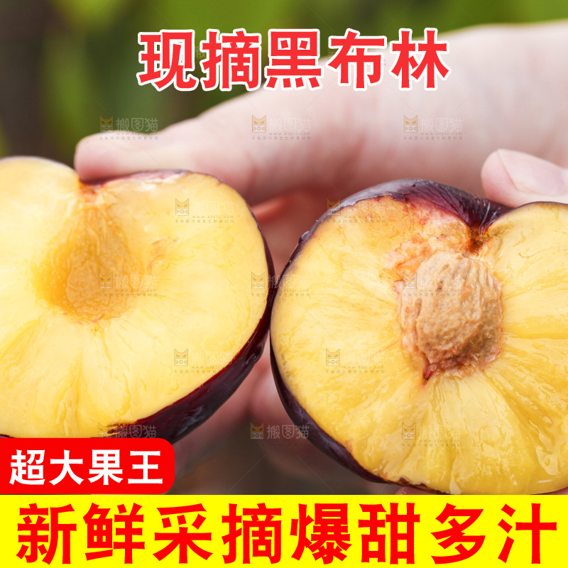 手里拿着黑布林