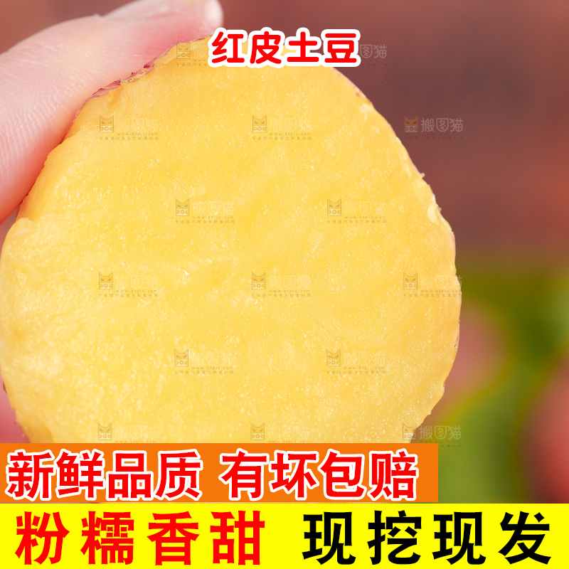 手里拿着红皮土豆