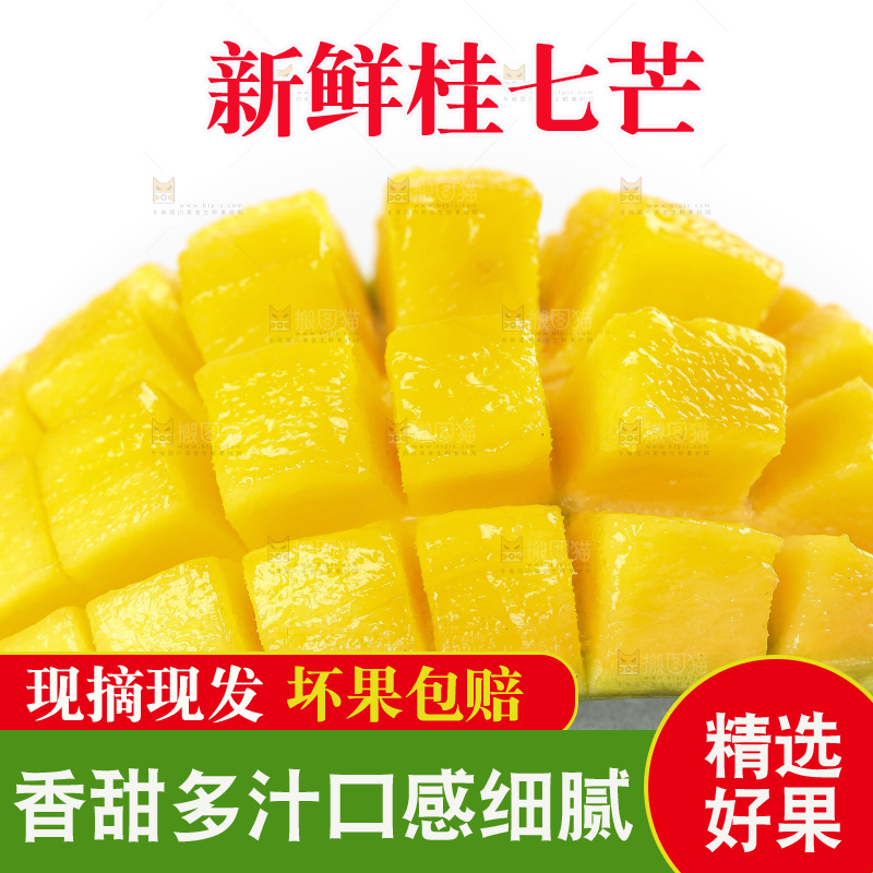 白底上的桂七香芒