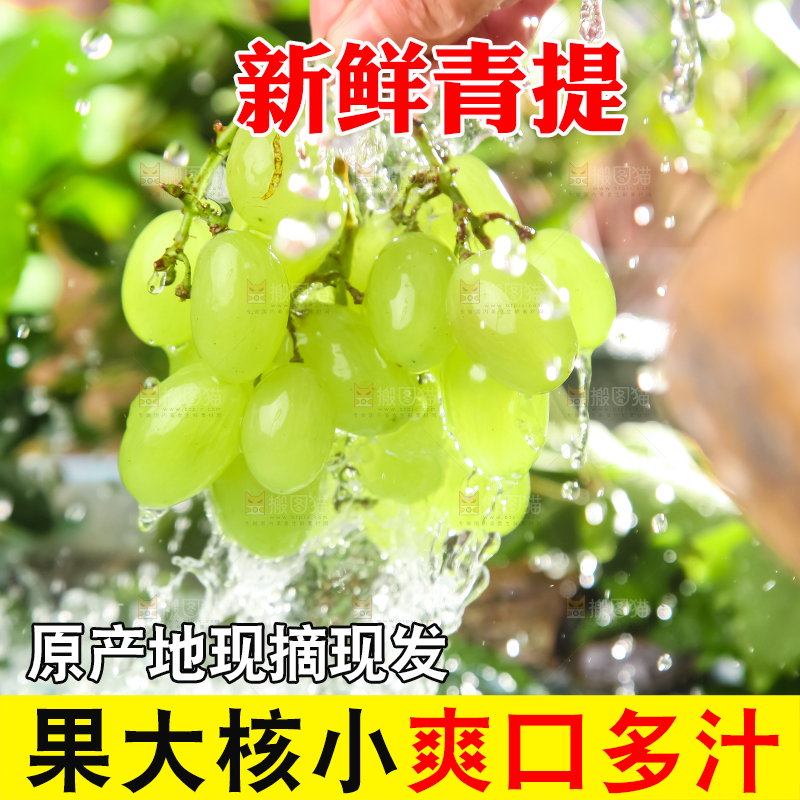 手里拿着青提