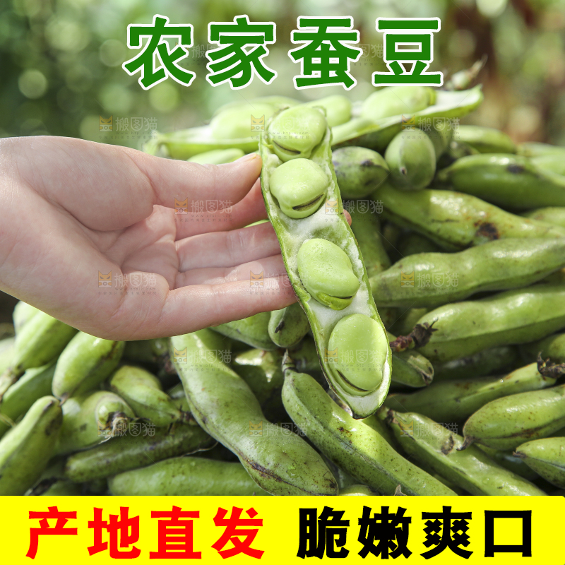 手里拿着青胡豆