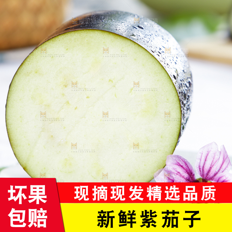 白底上摆放着紫茄子