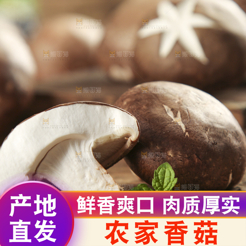 木底上摆放着香菇