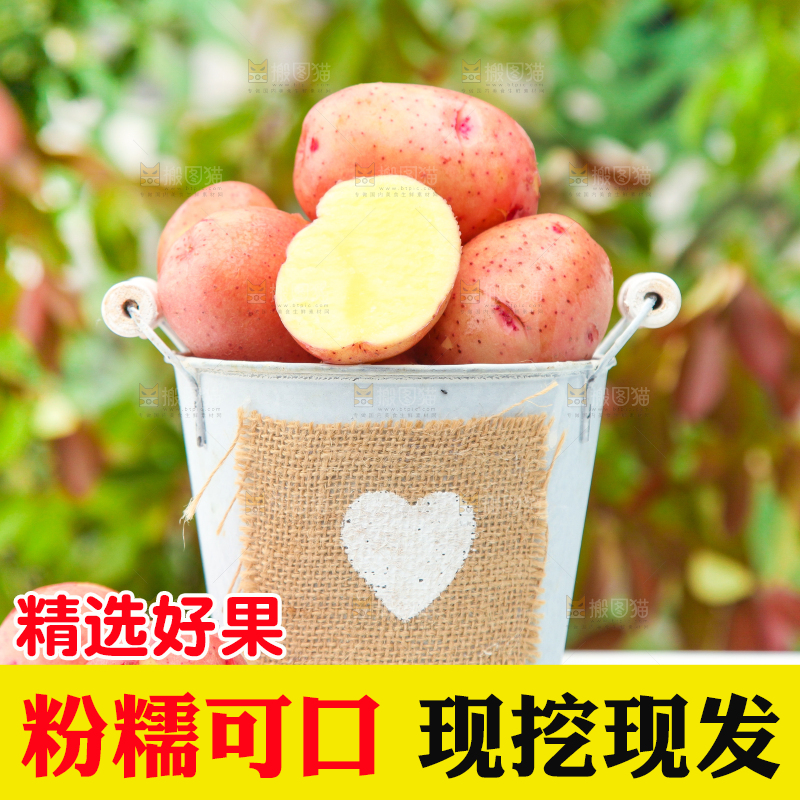 小桶里装着红皮土豆