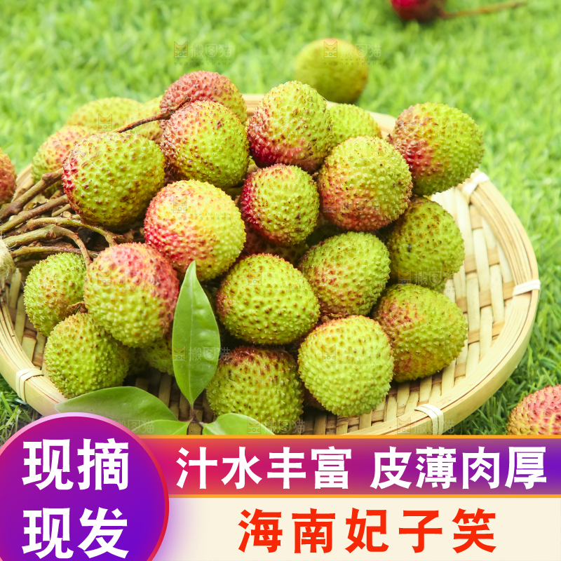 篮子里装着妃子笑荔枝