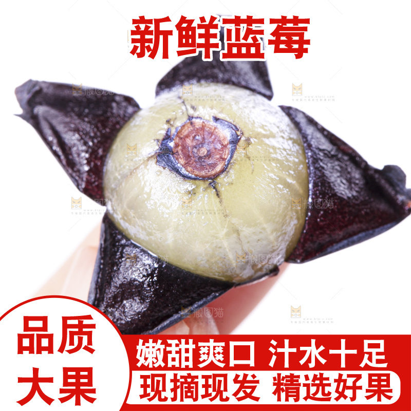 手里拿着蓝莓果