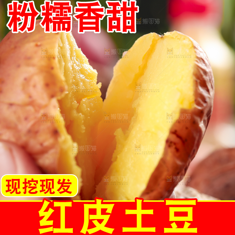 手里拿着红皮土豆