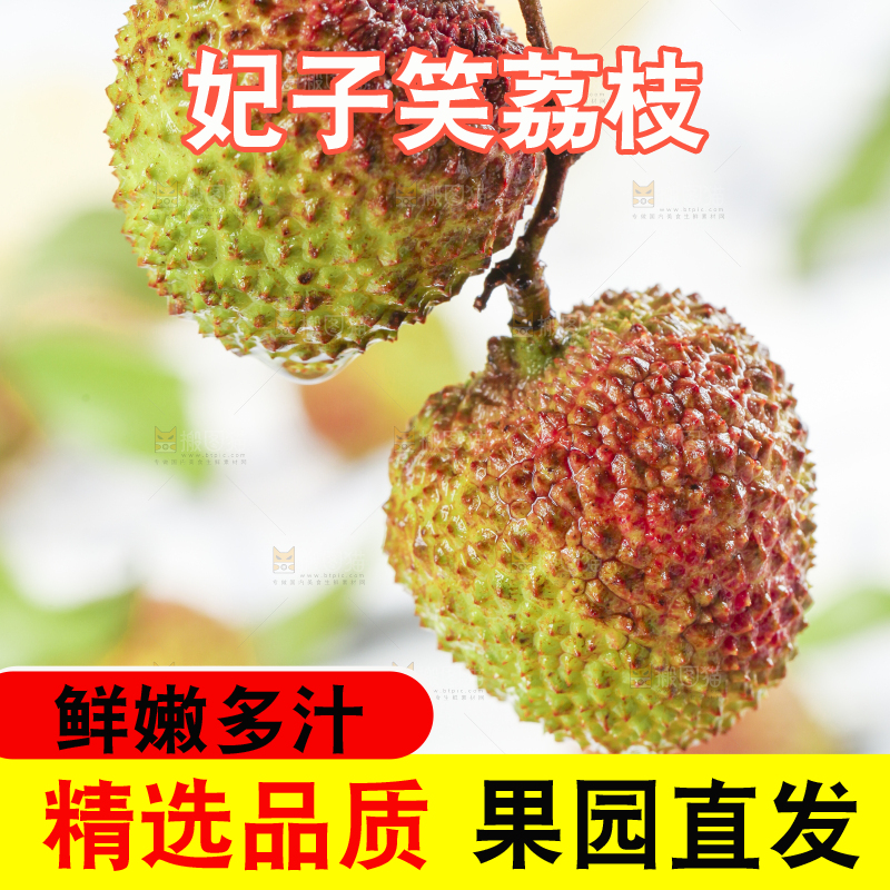 浅底上摆放着妃子笑荔枝