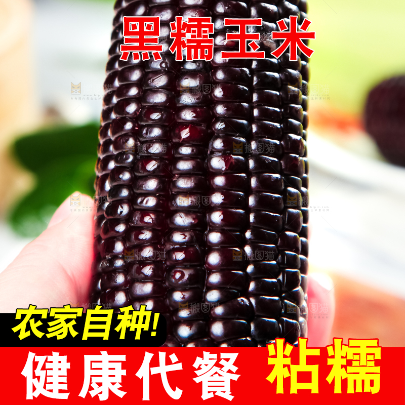 木底上放着东北黑玉米