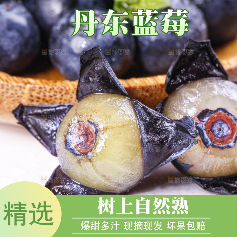 碟子里装着蓝莓