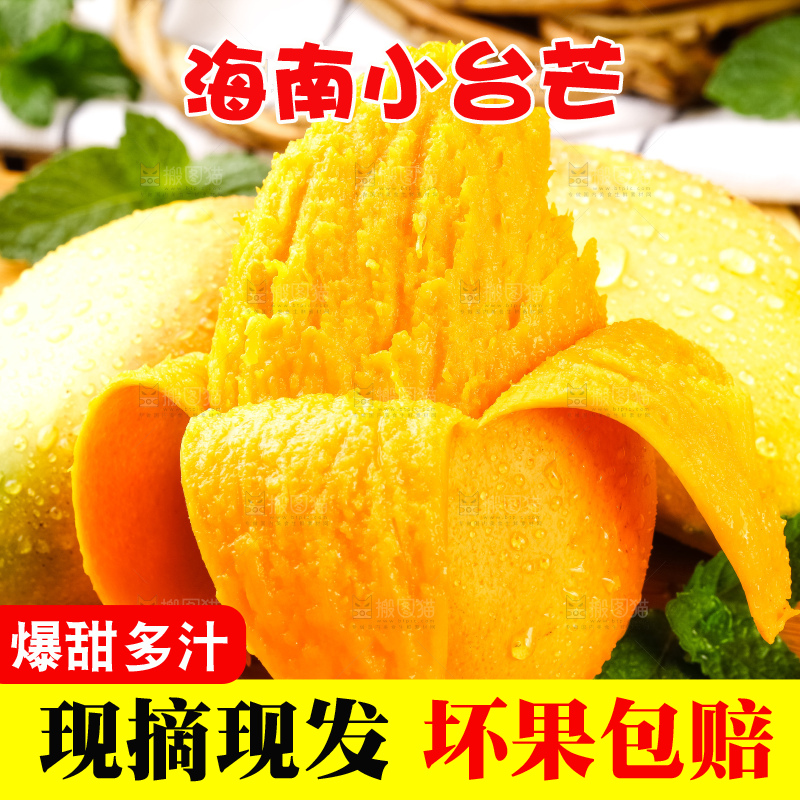 木板上摆放着广西小台芒