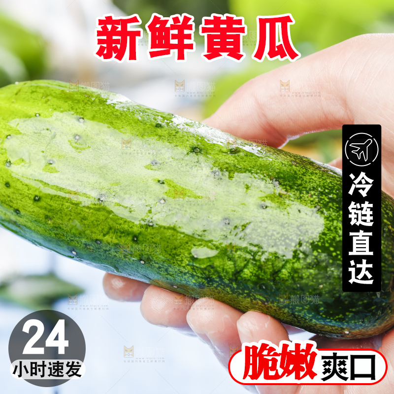手里拿着黄瓜