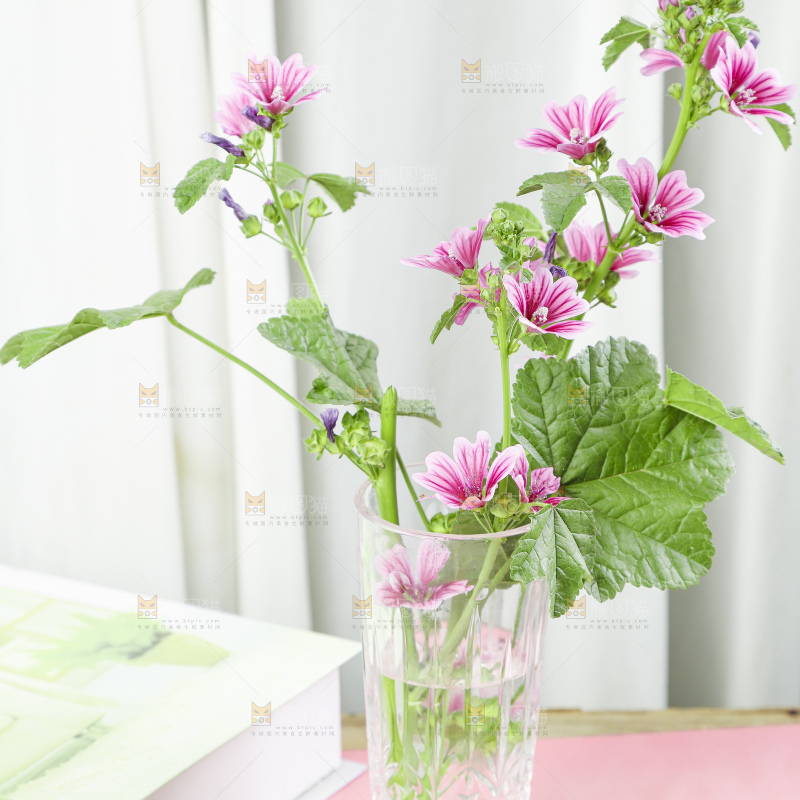 花瓶里插着新鲜花朵