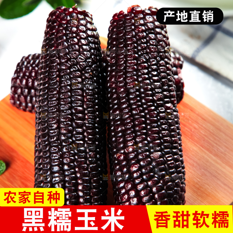 木底上放着东北黑玉米