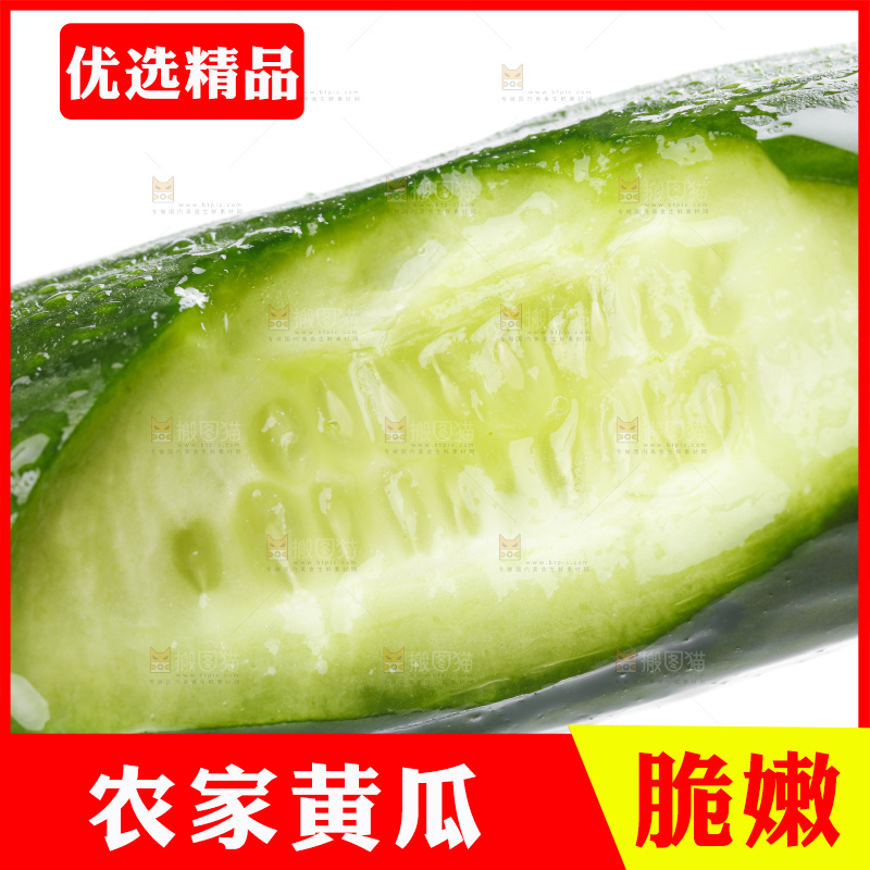 白底上摆放着山东水果黄瓜