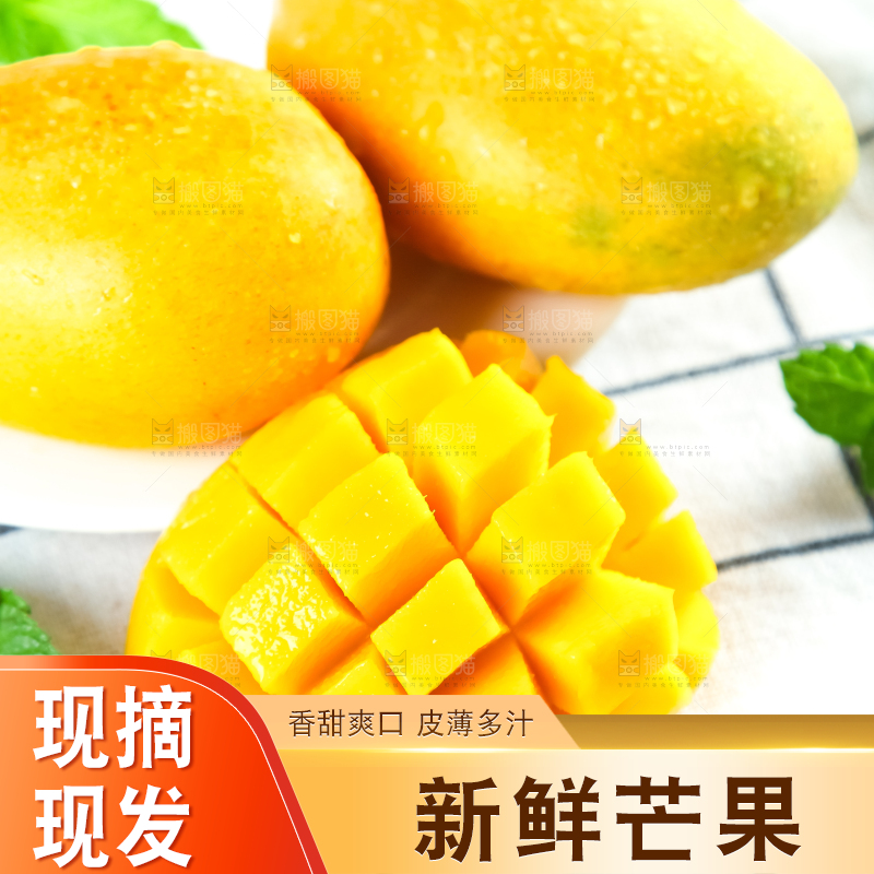 格子底上摆放着小台芒