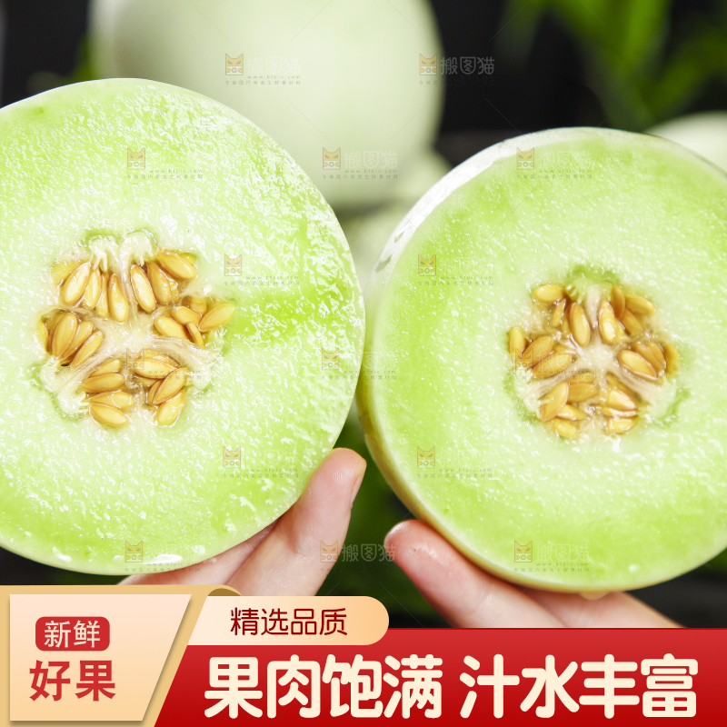 手里拿着南汇玉菇甜瓜