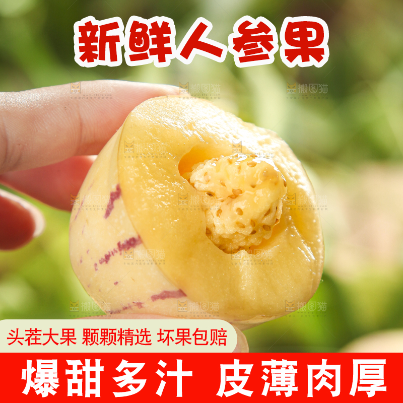 手里拿着人参圆果