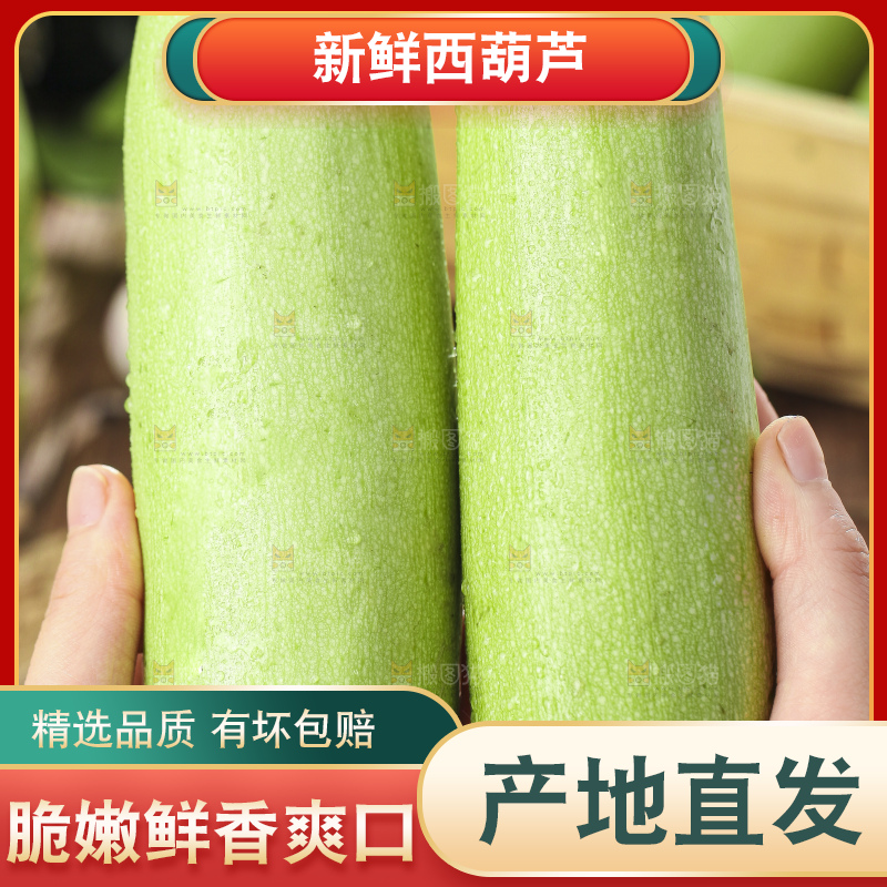 手里拿着茭瓜