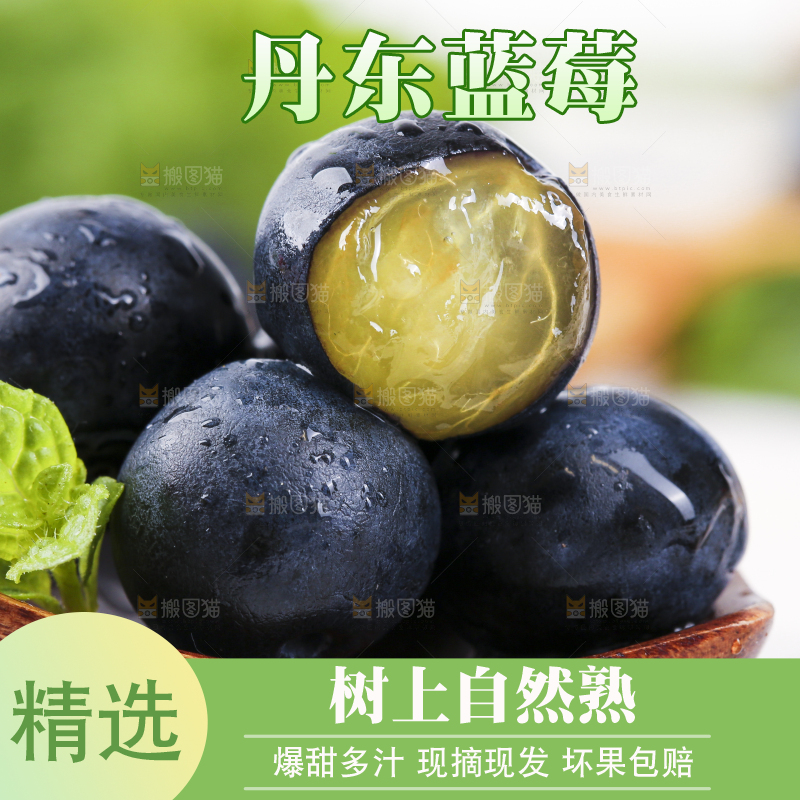 勺子上放着蓝莓果