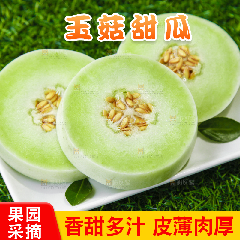 绿草地上摆放着玉菇甜瓜