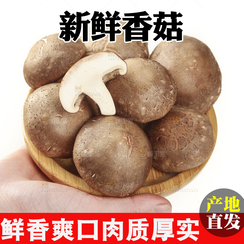 手里端着一盘香菇