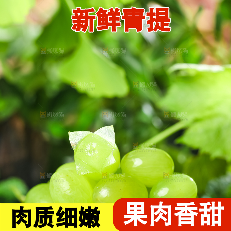 盘子里装着青提