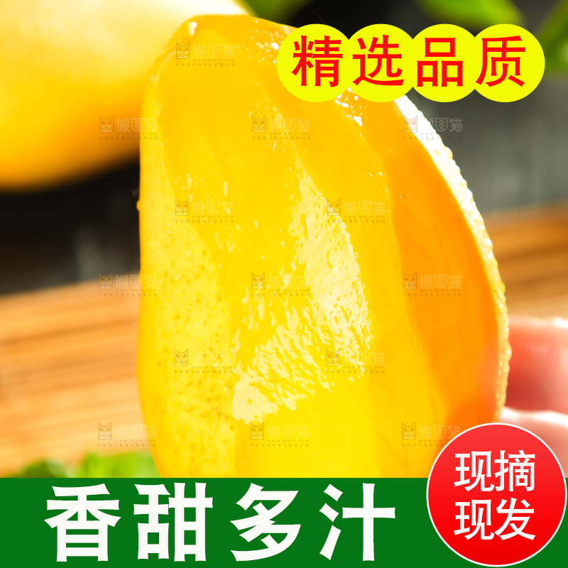 手里拿着台农芒果