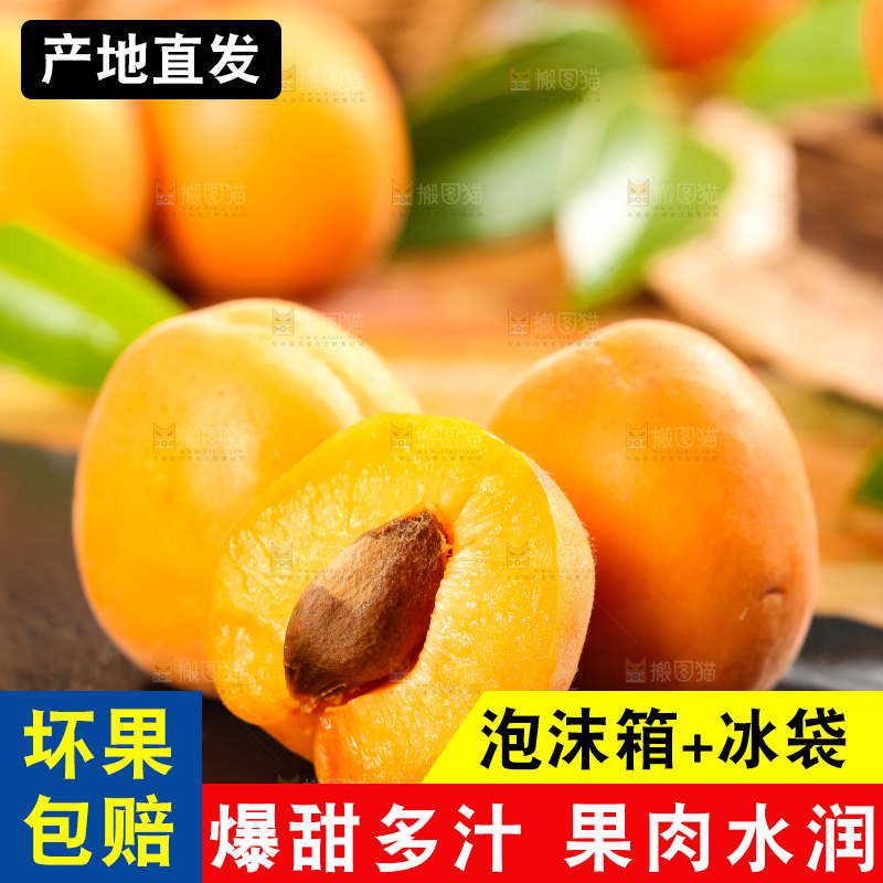 黑底上放着黄杏