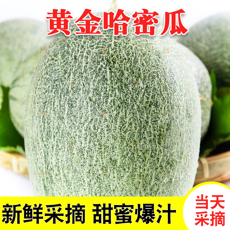 篮子里装着新疆哈密瓜