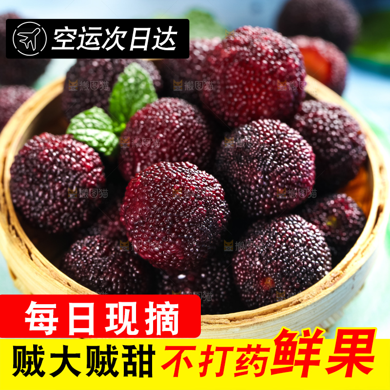篮子里装着杨梅
