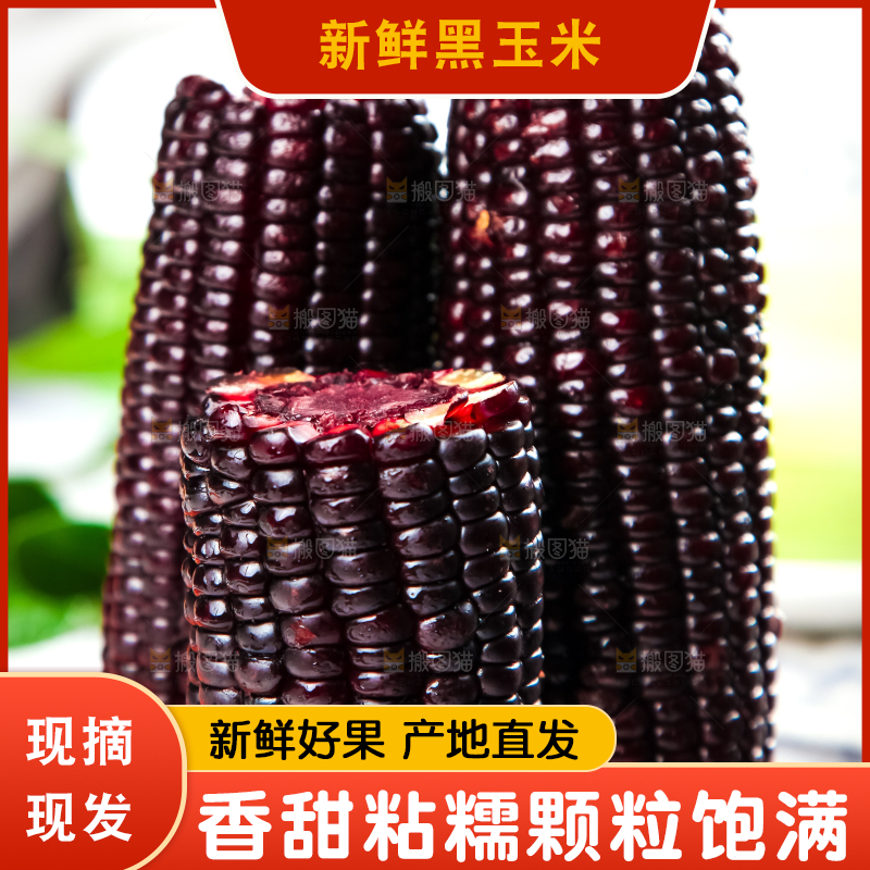 木底上放着东北黑玉米