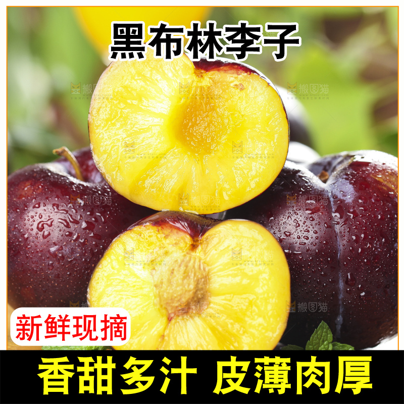木板上摆放着黑布林